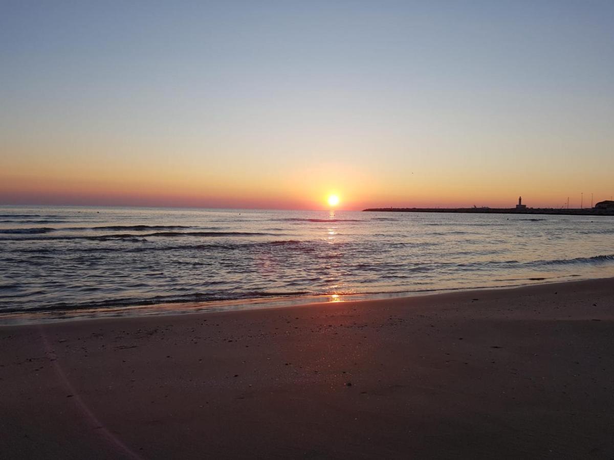 Gioia Sea View Daire Navodari Dış mekan fotoğraf